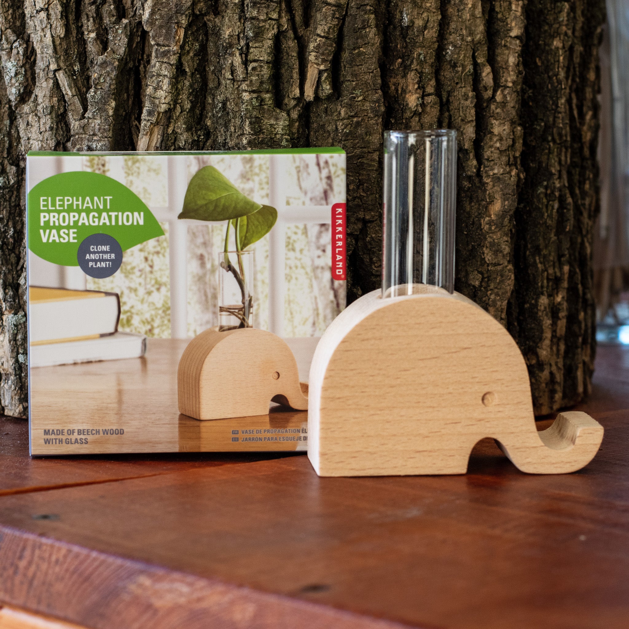 Elephant Propagation Vase Elephant Propagation Vase