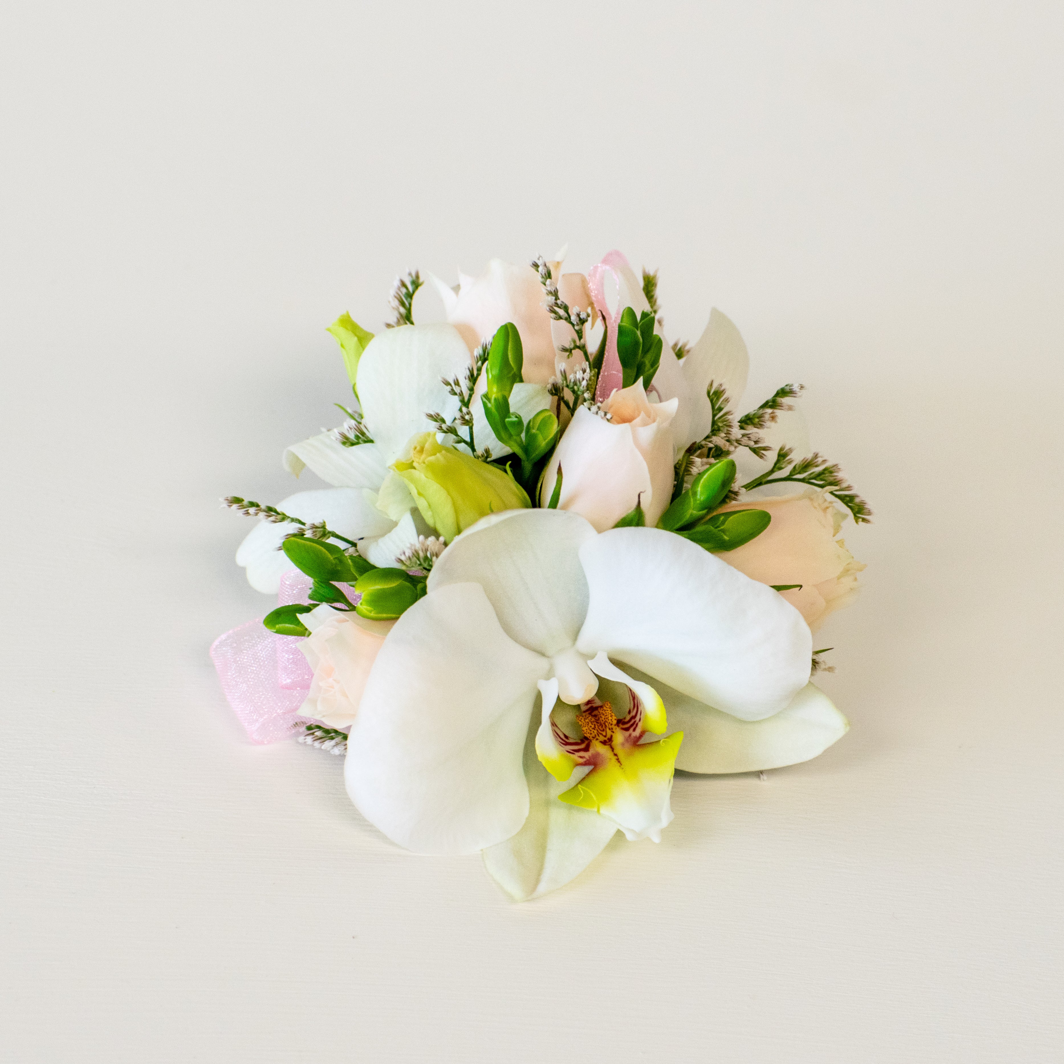 DSC_8002.jpg?v=1720019984&