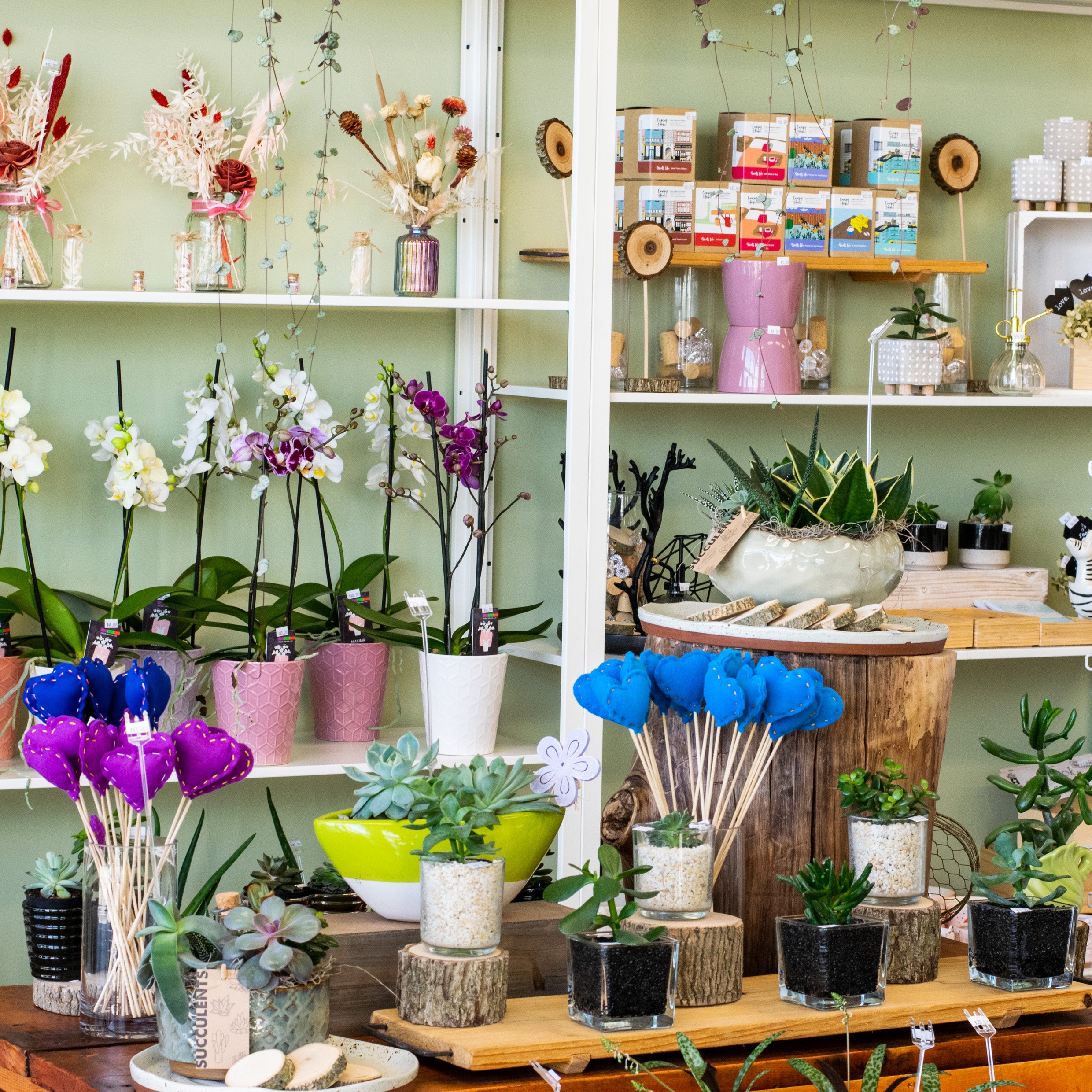 September Charm Flowers